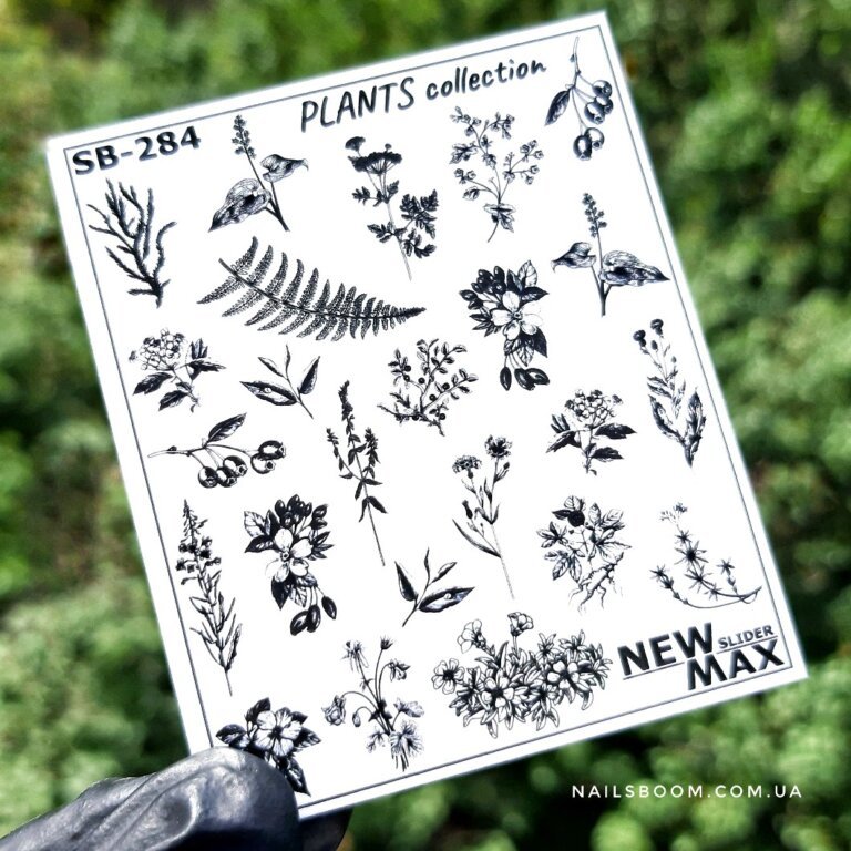 Слайдер дизайн NewMax SB-284