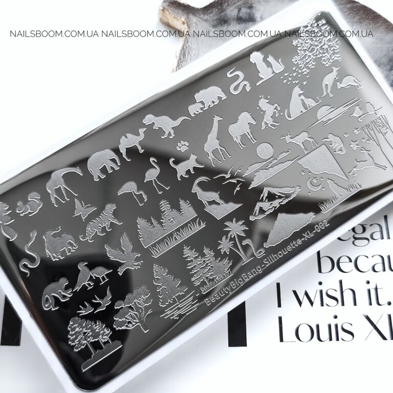 Пластина для стемпінгу BeautyBigBang Silhouette XL-002