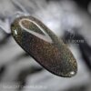 Світловідбиваючий гель-лак Saga Cat Chameleon №12