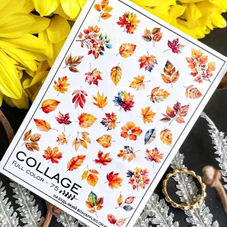 Слайдер дизайн NewMax Collage 75