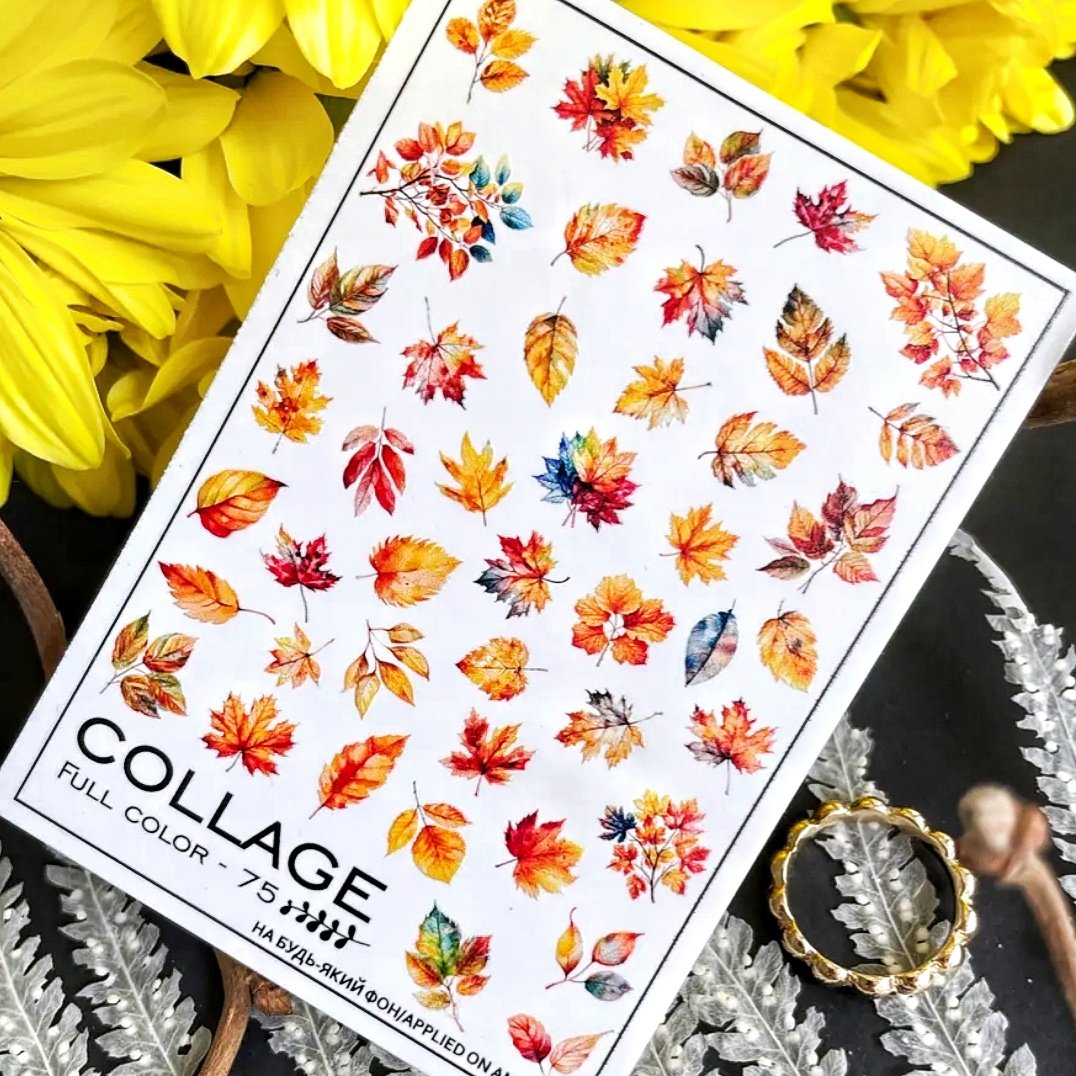 Слайдер дизайн NewMax Collage 75