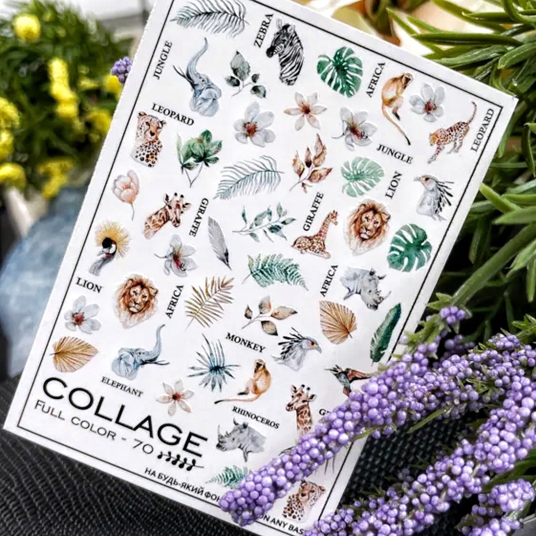 Слайдер дизайн NewMax Collage 70
