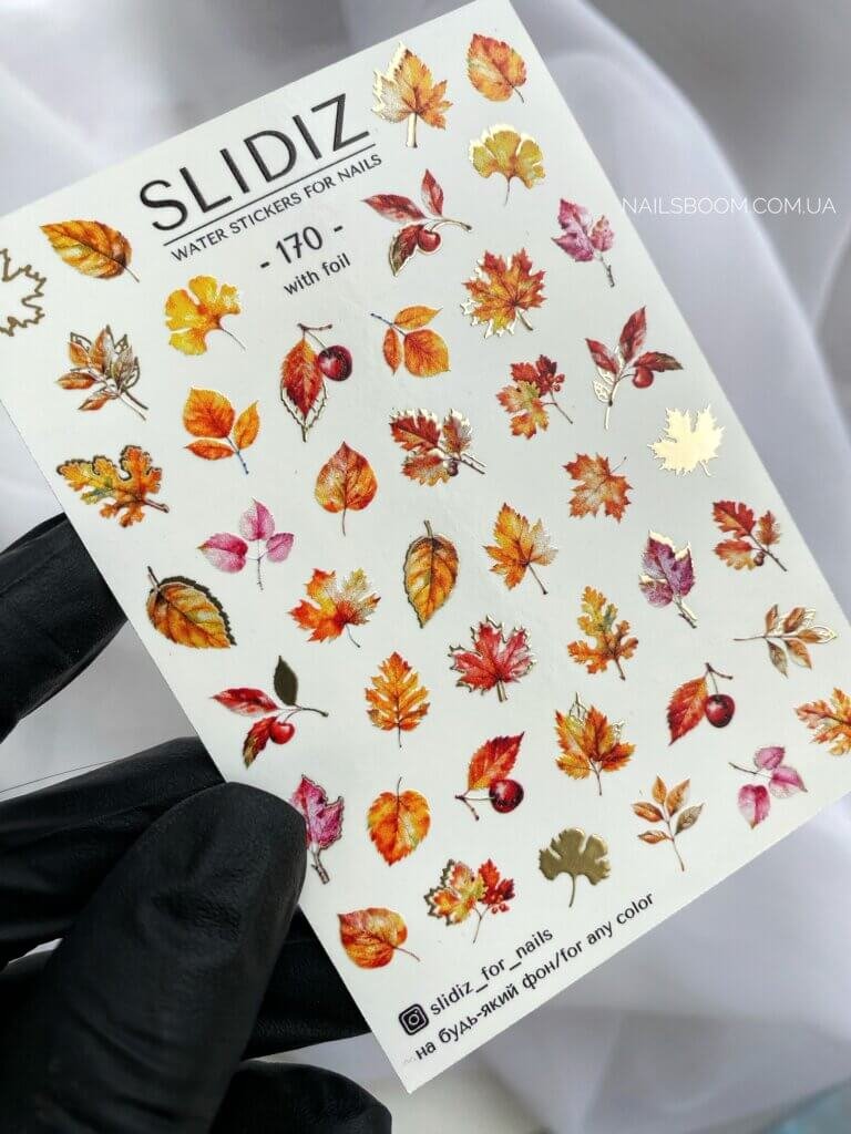 Слайдер-дизайн Slidiz 170