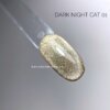 Світловідбиваючий гель-лак котяче око DARK Night Cat 01, 10 мл