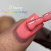 Гель-лак DANNY Tropitel Naama Bay 01, 8 мл