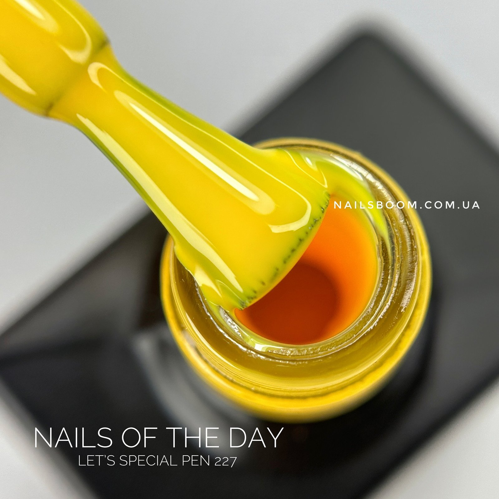 Гель-лак NAILS OF THE DAY Let`s special Pen 227, 10 мл