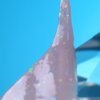 Гель для нарощування LUNA Diamond Gel 03, 15 мл