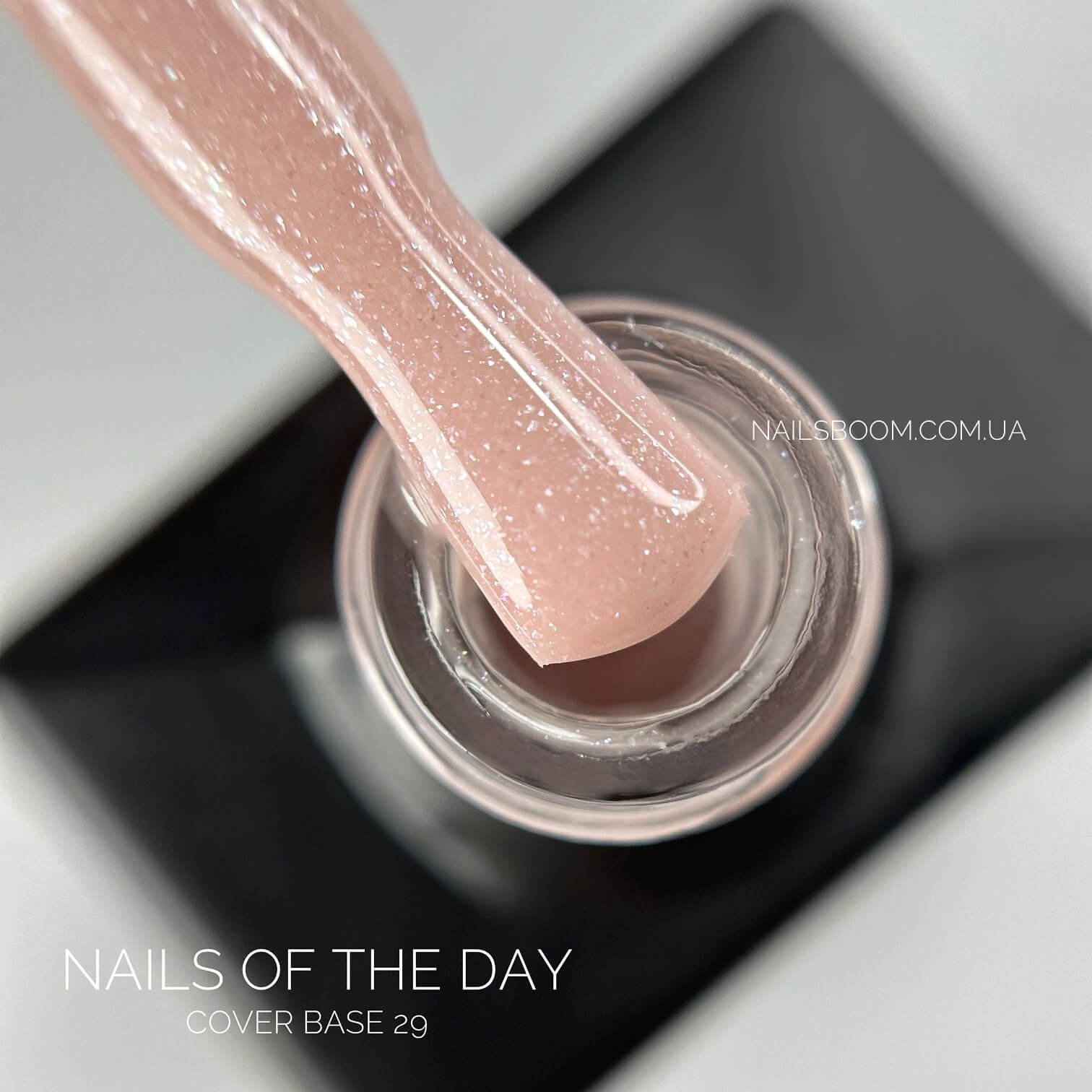 IMG_20240907_184832_101_copy_1512x1512 Kамуфлююча база NAILS OF THE DAY Cover 29, 10 мл