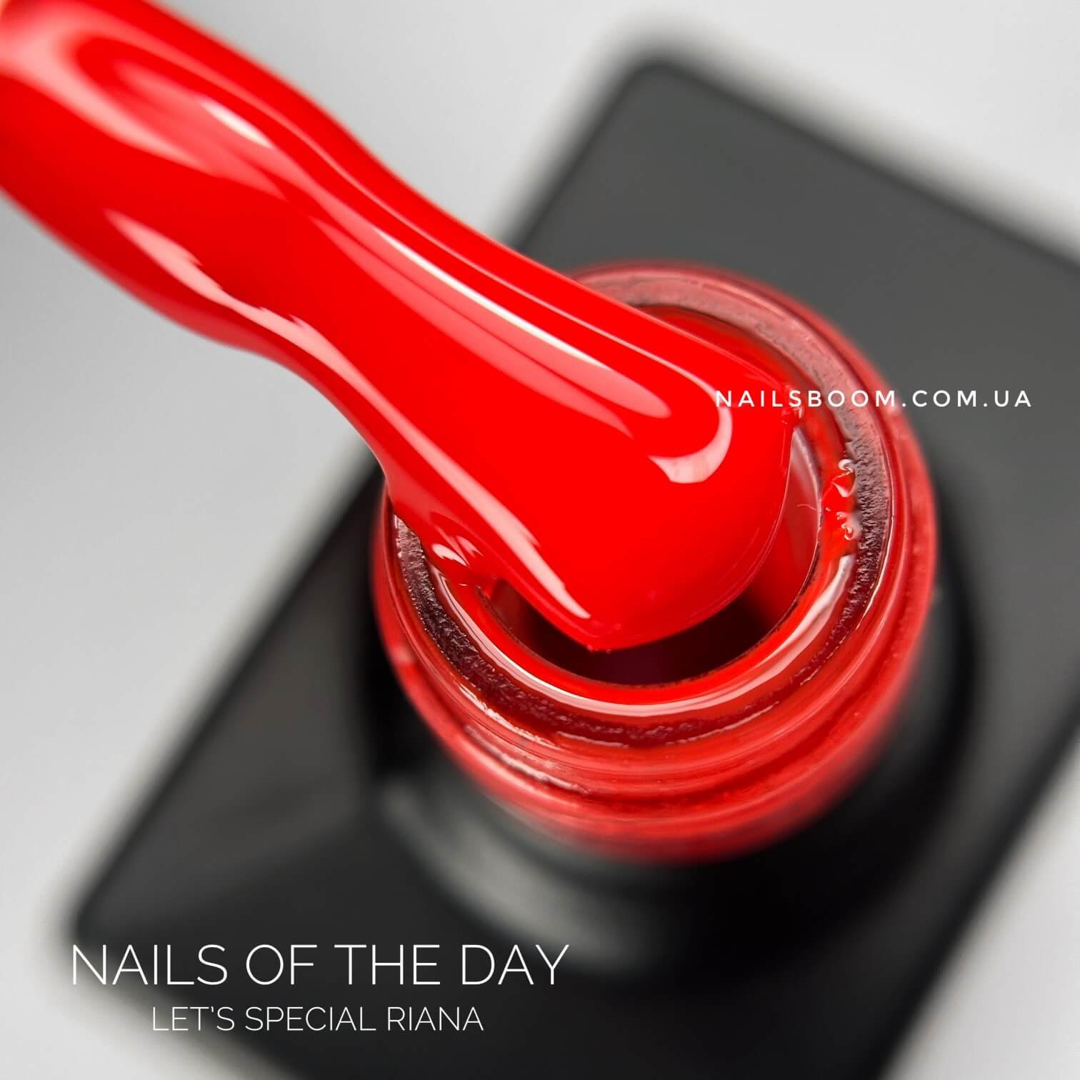 IMG_20241005_093849_754_copy_1512x1512 Гель-лак NAILS OF THE DAY Let`s special Riana, 10 мл