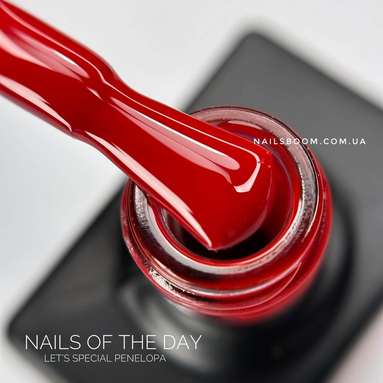 IMG_20241005_093855_856_copy_1512x1512 Гель-лак NAILS OF THE DAY Let`s special Penelopa, 10 мл