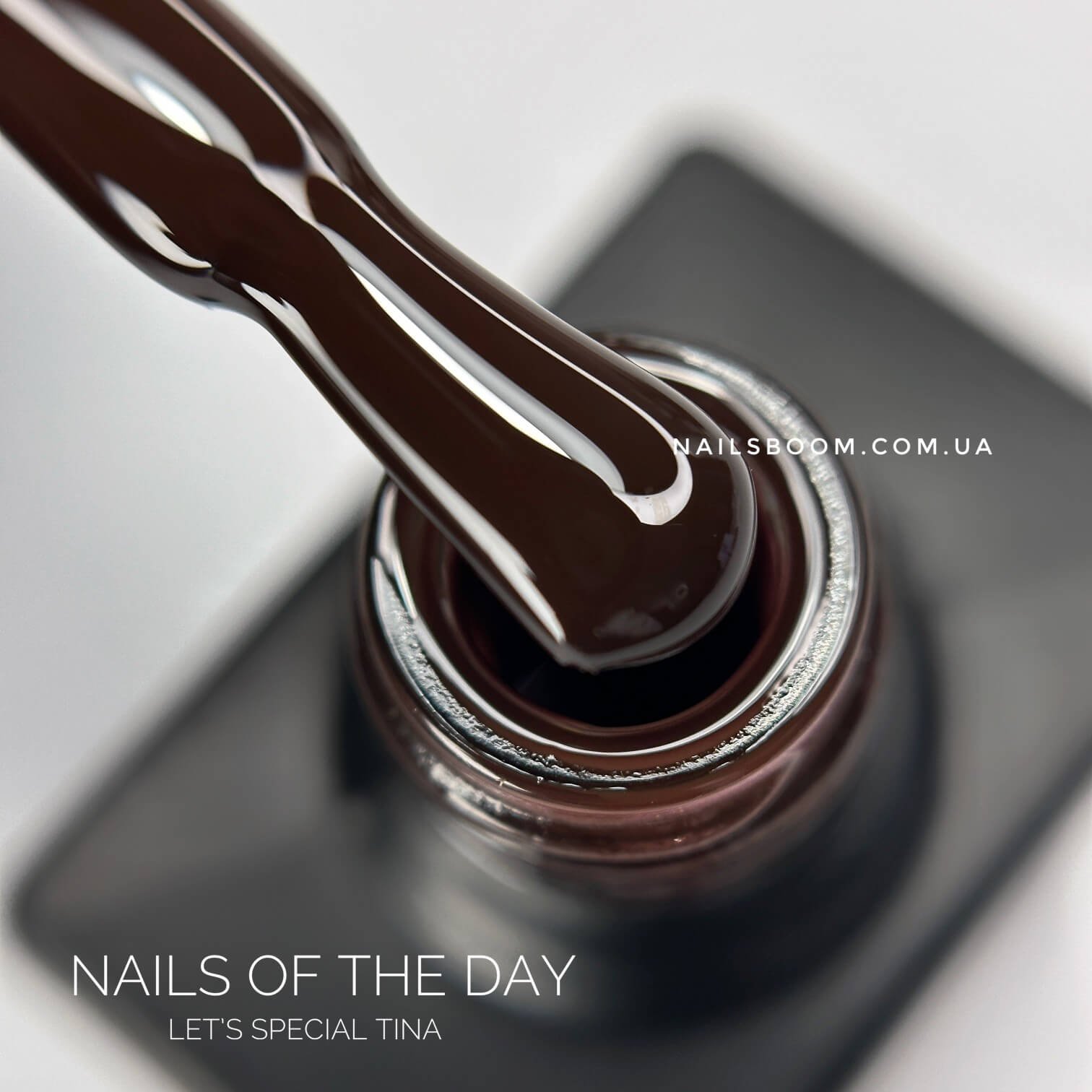IMG_20241005_093856_058_copy_1512x1512 Гель-лак NAILS OF THE DAY Let`s special Tina 037, 10 мл