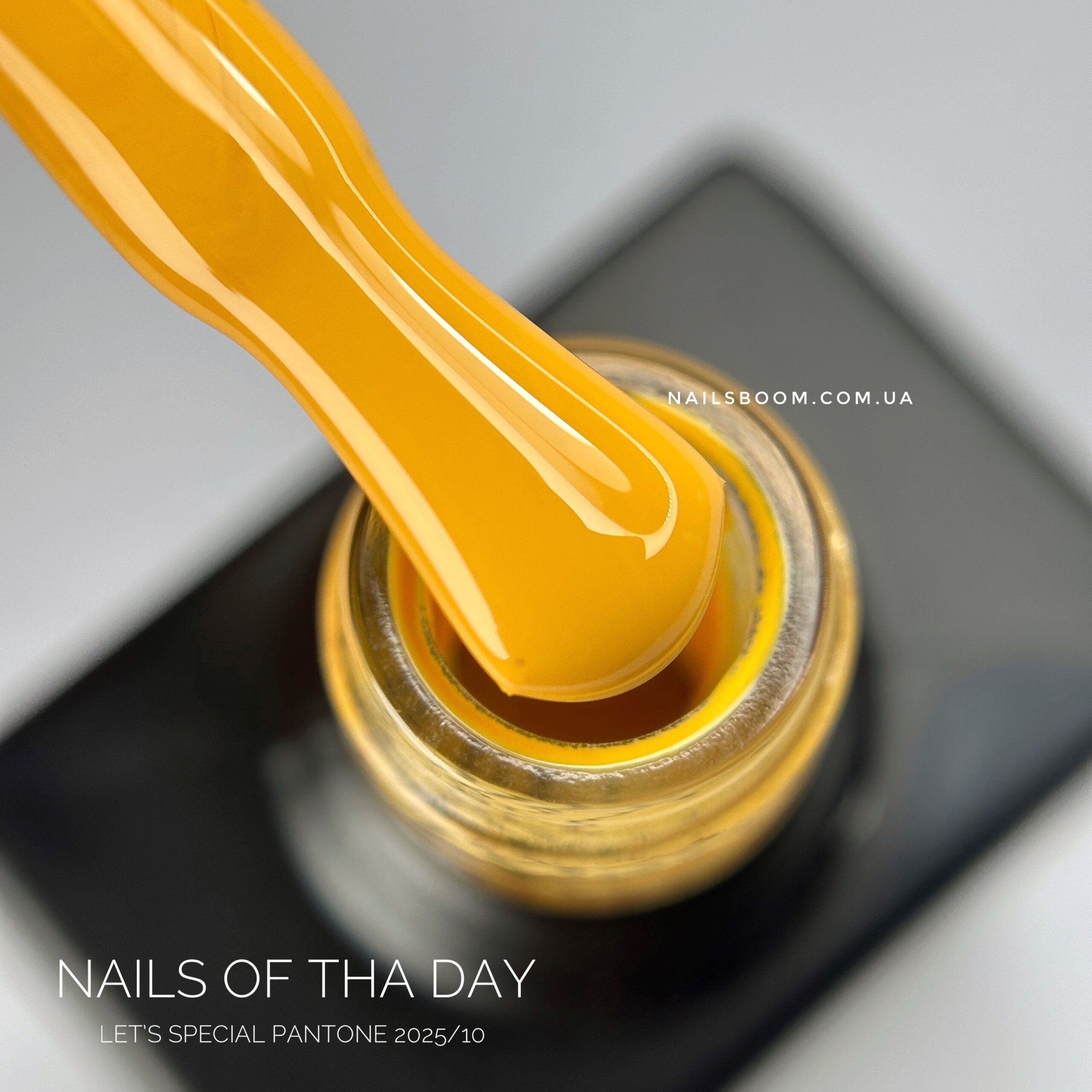 Гель-лак NAILS OF THE DAY Let`s special Pantone 2025/10, 10 мл