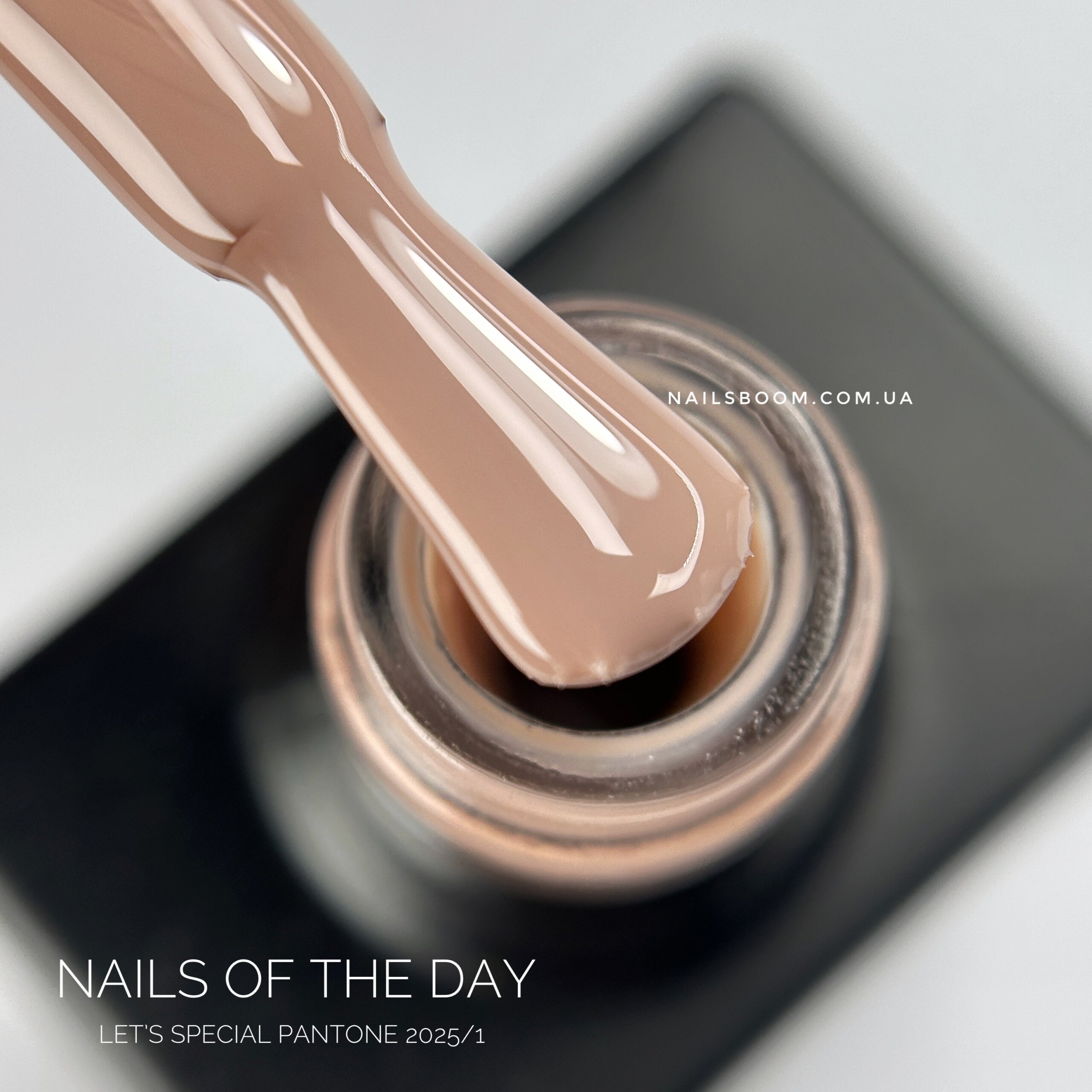 Гель-лак NAILS OF THE DAY Let`s special Pantone 2025/01, 10 мл