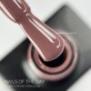 IMG_3743 Гель-лак NAILS OF THE DAY Let`s special Roselle 059, 10 мл