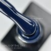 IMG_3890 Гель-лак NAILS OF THE DAY Let`s special Blueberry 325, 10 мл
