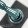 IMG_3895 Гель-лак NAILS OF THE DAY Let`s special Sequoia 333, 10 мл