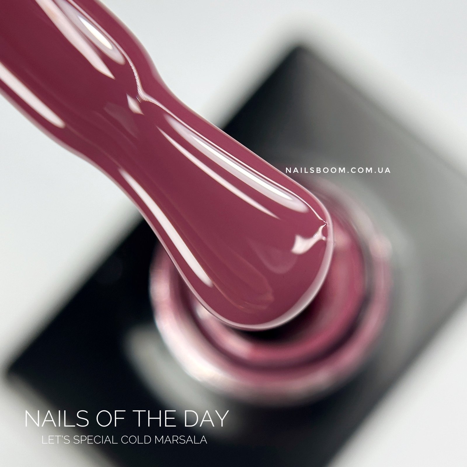 Гель-лак NAILS OF THE DAY Let`s special Cold Marsala 377, 10 мл