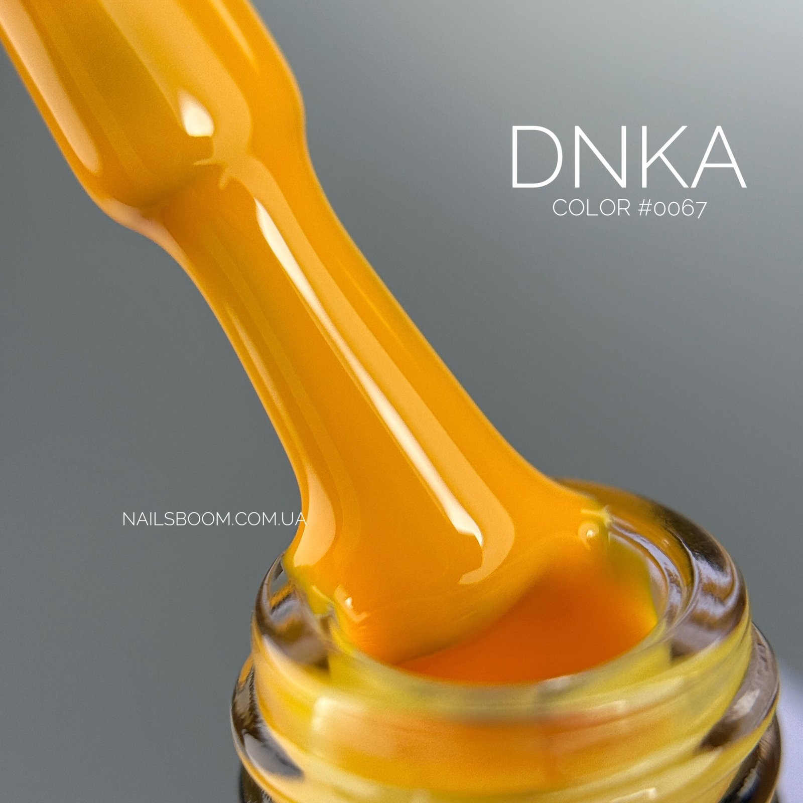 Гель-лак DNKa’ Gel Polish Color №0067, 12 мл