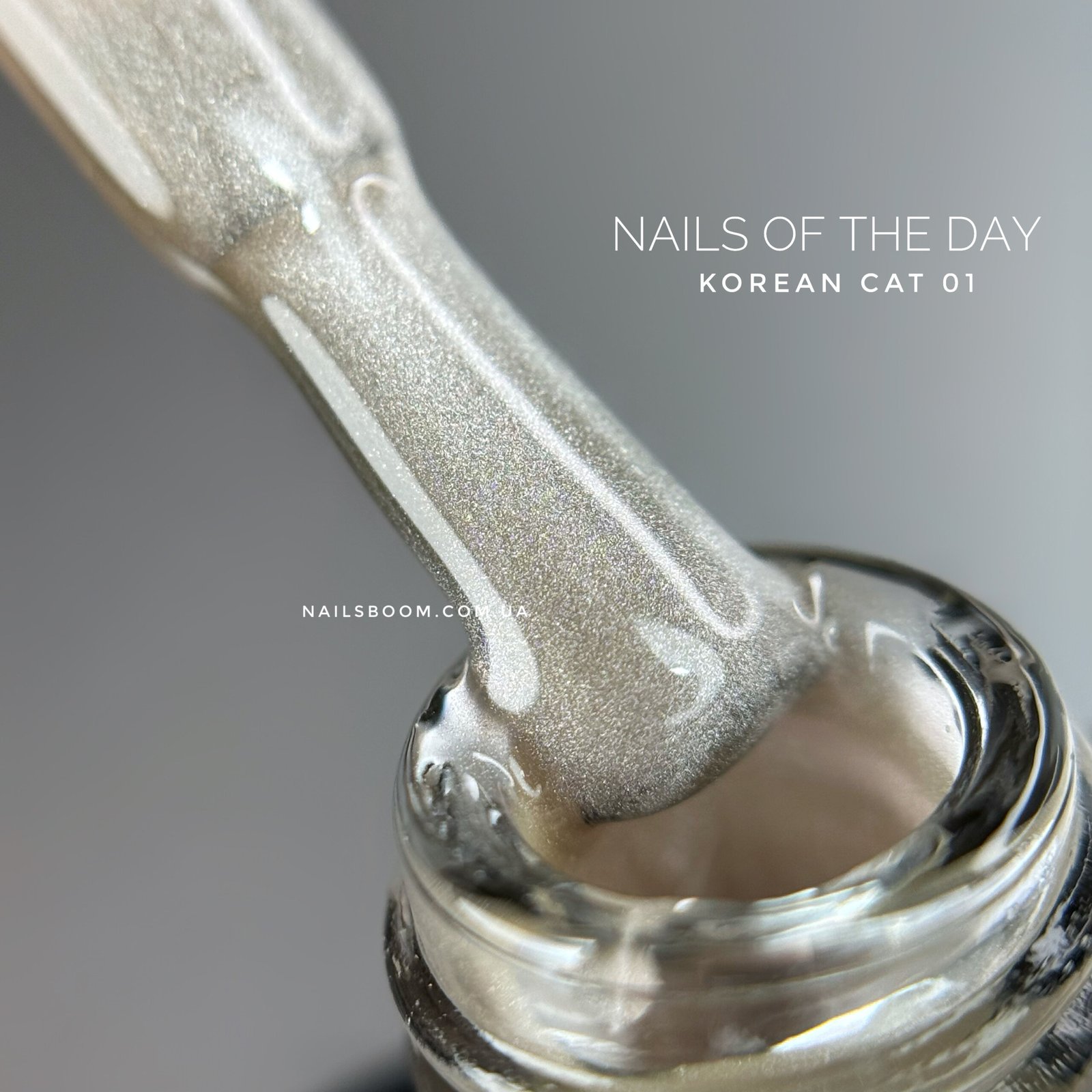 Гель-лак котяче око NAILS OF THE DAY Korean cat eye 01, 10 мл