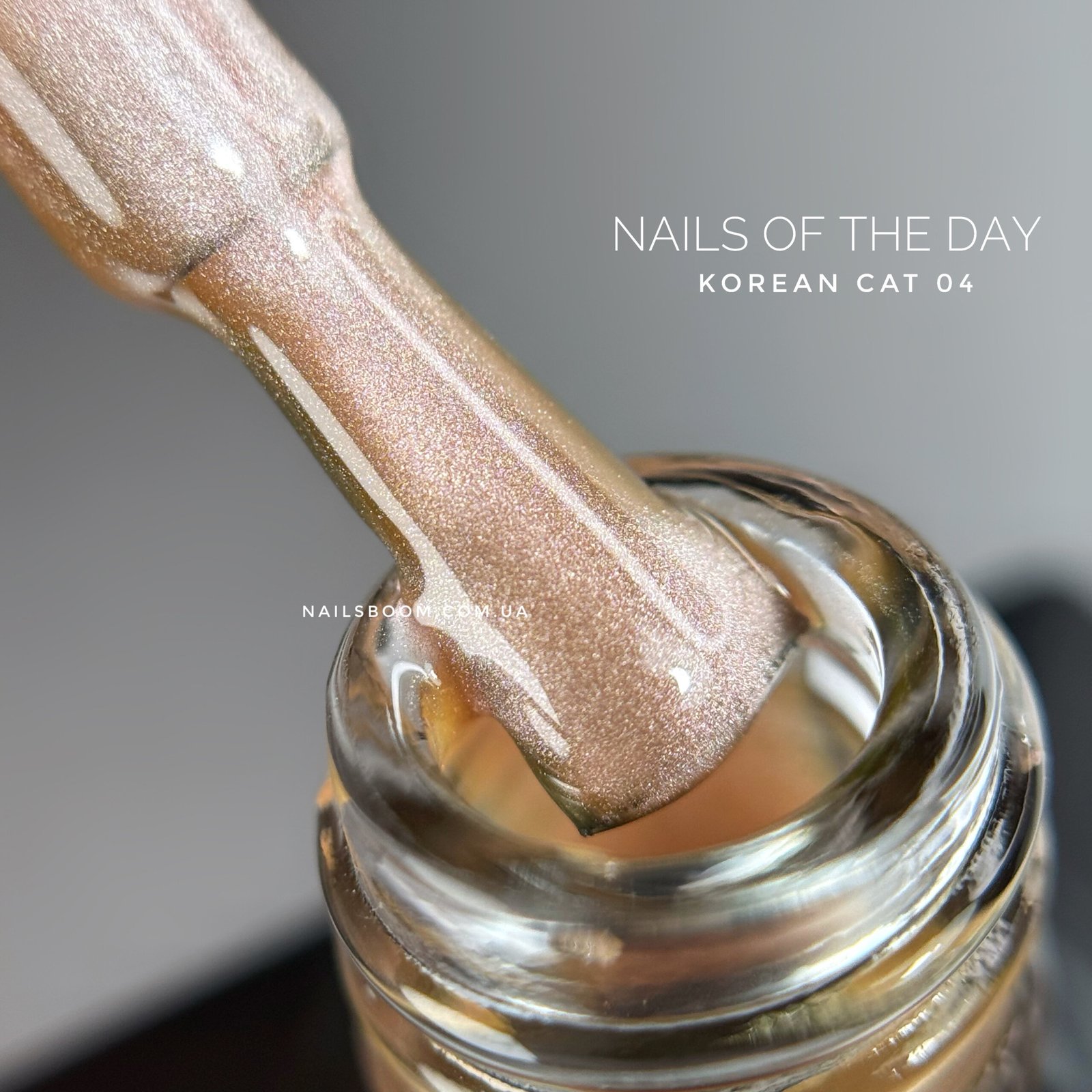 Гель-лак котяче око NAILS OF THE DAY Korean cat eye 04, 10 мл