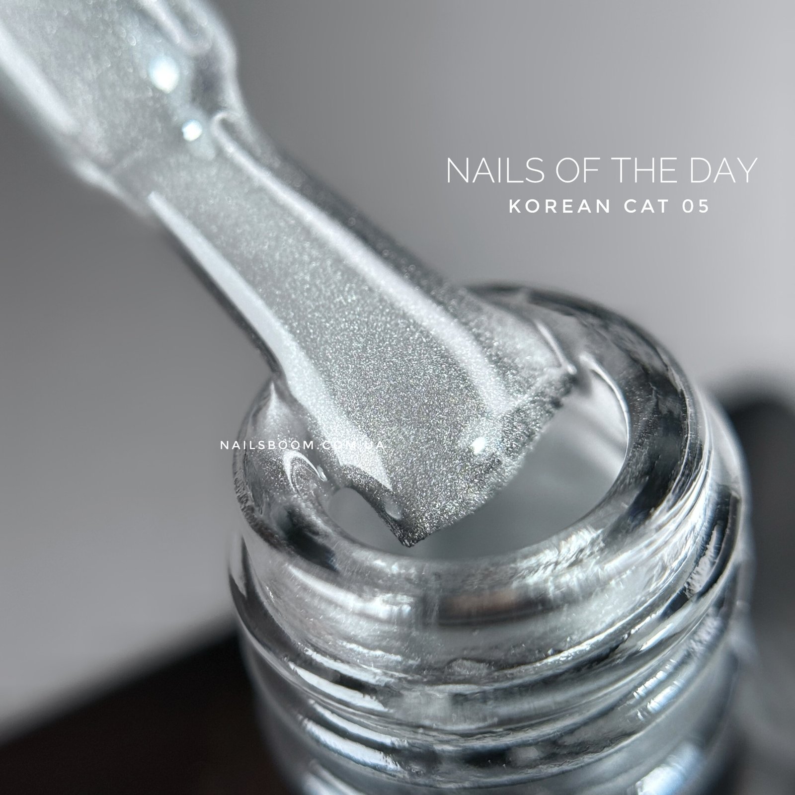 Гель-лак котяче око NAILS OF THE DAY Korean cat eye 05, 10 мл