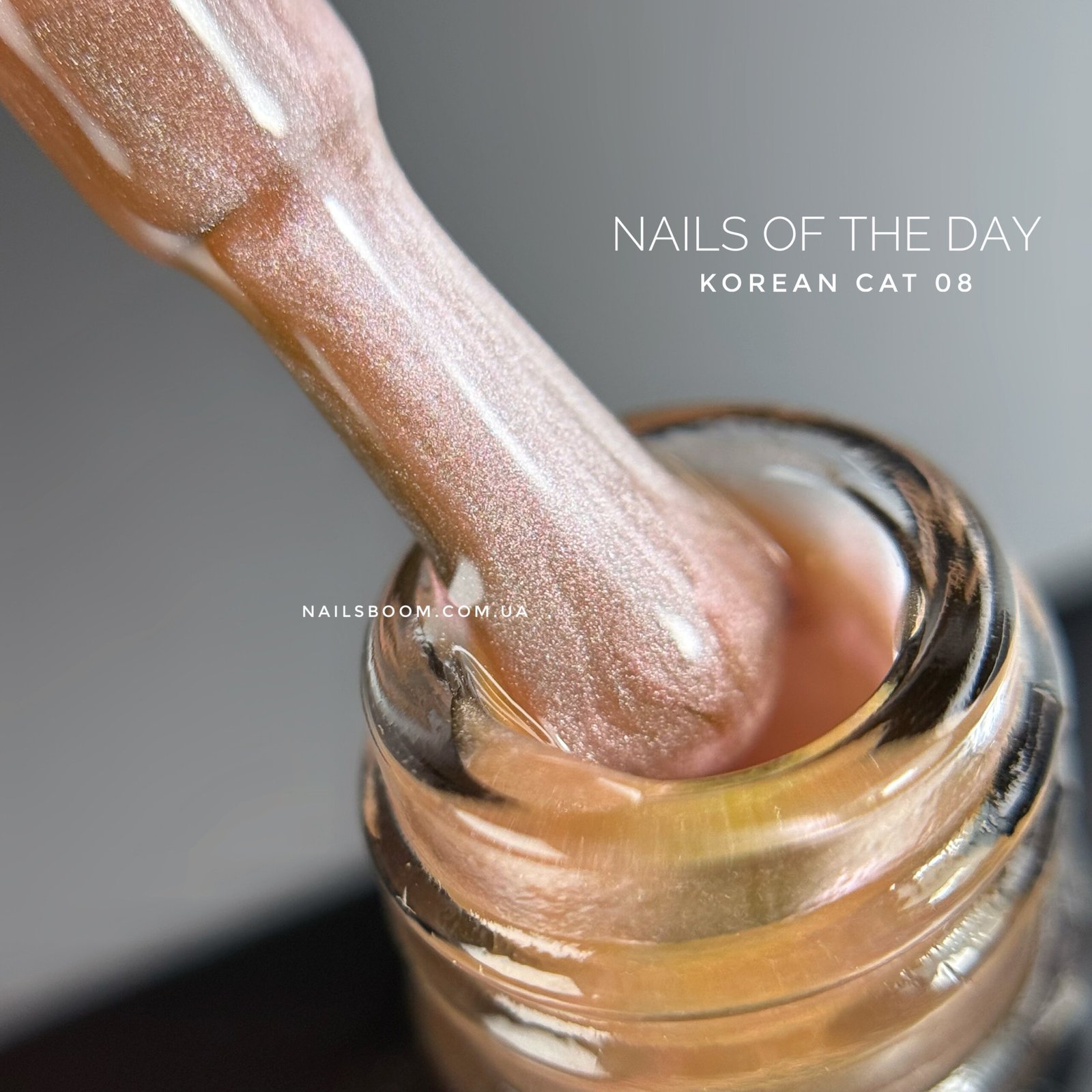 Гель-лак котяче око NAILS OF THE DAY Korean cat eye 08, 10 мл