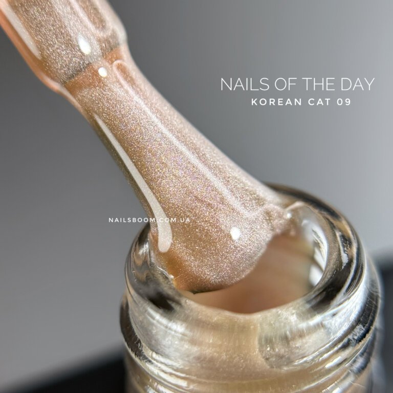 IMG_1007 Гель-лак котяче око NAILS OF THE DAY Korean cat eye 09, 10 мл