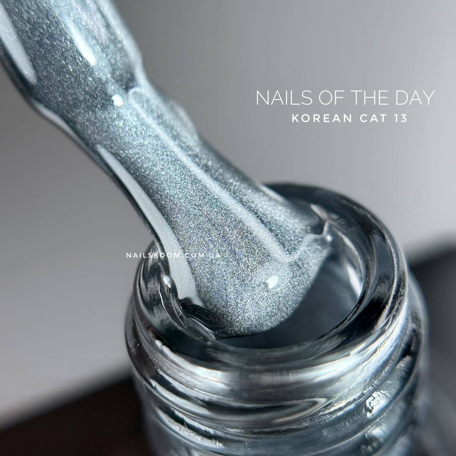 Гель-лак котяче око NAILS OF THE DAY Korean cat eye 13, 10 мл