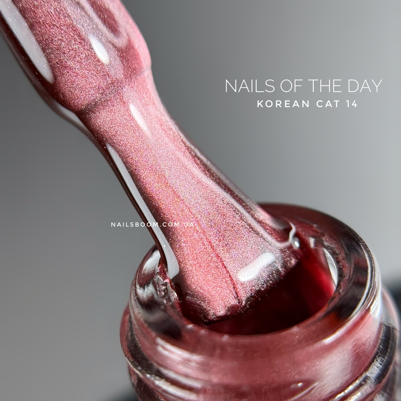 Гель-лак котяче око NAILS OF THE DAY Korean cat eye 14, 10 мл