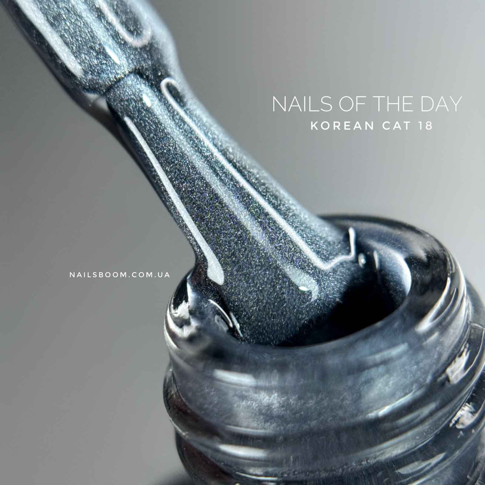 Гель-лак котяче око NAILS OF THE DAY Korean cat eye 18, 10 мл