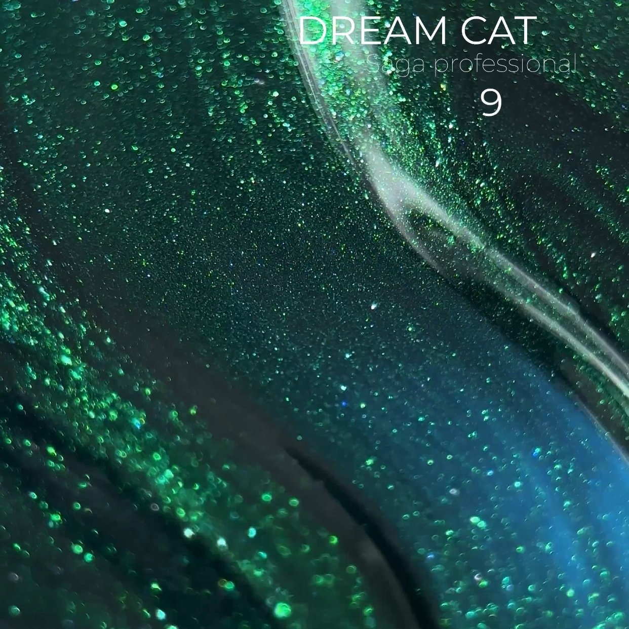 IMG_8800 Гель-лак котяче око Saga Professional Dream cat eye 09, 10 мл