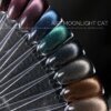 IMG_9436 Гель-лак котяче око ART Moonlight Cat 09, 6 мл