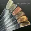 IMG_2840 Гель-лак котяче око ART Charm Cat 01, 6 мл